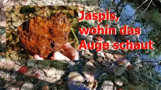 Mineralien in den Bächen des Westerzgebirge Teil 5 - Jaspis, überall wo man hinschaut.