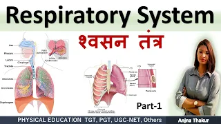 Respiratory System | Organs |structure | functions | Anatomy & Physiology| Part-1