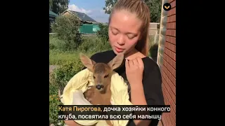 В Нижегородской области девочка растит косулёнка, которому ампутировали заднюю ножку