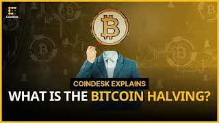 What is the Bitcoin Halving? | CoinDesk Explains