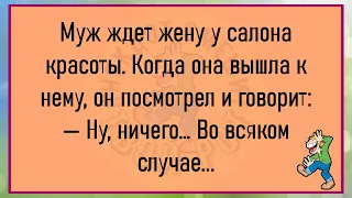 💎ГИБДДшник Останавливает Машину. За Рулём Собака...Сборник Улётных Анекдотов Для Супер Настроения!