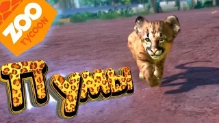 Пумы и Комодские ВАРАНЫ - ZOO Tycoon - Прохождение #7