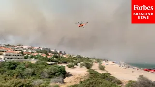 WATCH: Tourists Are Evacuated From Rhodes Island, Greece, Amidst Massive Wildfires