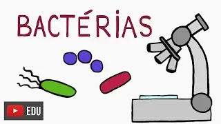 Bacteria: what are they? where do they live? what do they do? #InstanteBiotec 63