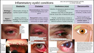 Inflammatory eyelid conditions