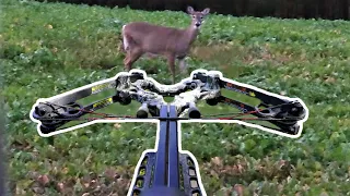 GRANDPA SMOKES DEER with a CROSSBOW! (Caught Off Guard) - PA Crossbow Hunting