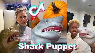 Funny Shark Puppet TikTok Videos 2021 | Best Shark Puppet Tik Toks