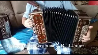 Гармони Комиссарова А.В. и Мякушева И.П. Демонстрация звучания!