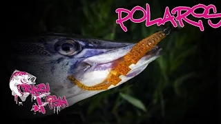 Новинки 2016!!! Приманки под водой. Crazy Fish. Polaris. Underwater.