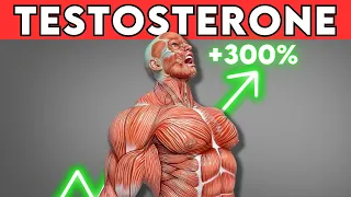 How To MASSIVELY INCREASE Testosterone (Naturally)