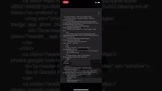 Google Photos CSS Html Script Illegal Webkit Apple iPhone Show Code Lake Wales Florida Cybercrime