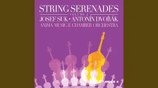 Serenade for String Orchestra in E-Flat Major, Op. 6: I. Andante con moto