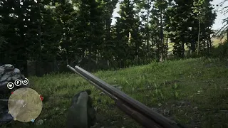 Various Slo-Mo Reloads in Red Dead Redemption 2