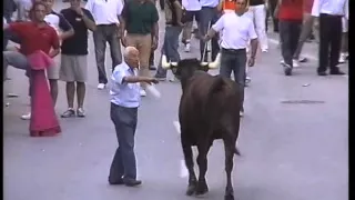 Toro Capitan, RECONOCE a su DUEÑO.