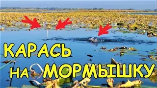 ЛОВЛЯ КАРАСЯ на МОРМЫШКУ /БАТЛ /КРЮЧОК vs МОРМЫШКА