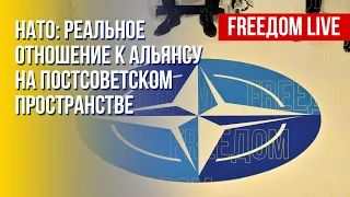 НАТО: как страны на постсоветском пространстве воспринимают Альянс. Канал FREEДОМ