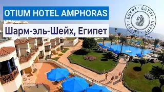 Full review of the hotel Otium Hotel Amphoras Sharm 5* | Sharm El Sheikh, Egypt