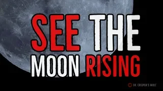 ''See the Moon Rising'' | VERY BEST OF THE VAULT 2019 [EXCLUSIVE WEREWOLF STORY]
