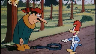 184 Дятел Вуди / Woody Woodpecker — How to Trap a Woodpecker