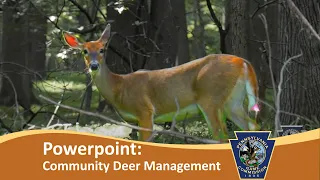 Community Deer Management