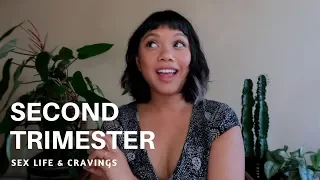 MY SECOND TRIMESTER OF PREGNANCY - Sex and Cravings | HellaJam