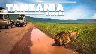 Tanzania Trip - Ultimate Safari HD [GoPro]
