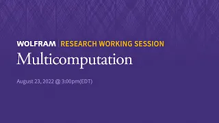 Research Working Session: Tuesday, August 23, 2022 [Multicomputation]