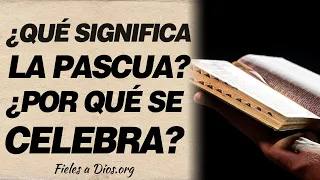 🙏 ¿Qué significa la Pascua? ¿Por qué se celebra la Pascua? 🙏