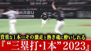 【貴重な1本】激走と熱き魂に酔いしれる『”三塁打・1本” 2023』【気迫ヘッスラ】