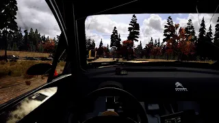 Dirt Rally 2 1 15 Update No hands or steering animations. FIXED.