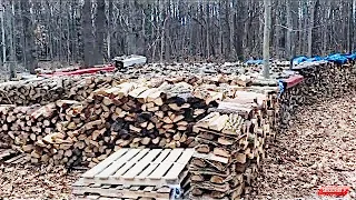 Joe’s Premium Firewood inventory as of 02/28/2018