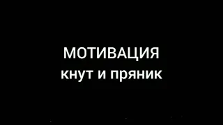 Мотивация: КНУТ и ПРЯНИК.