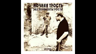 Ночная Трость-Сумерки(Эксперементы Роста 2013 год)