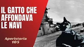 Sam "l'inaffondabile", il gatto che faceva affondare le navi [AperiStoria 105]