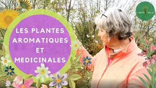 Les PLANTES AROMATIQUES et MEDICINALES pour votre jardin