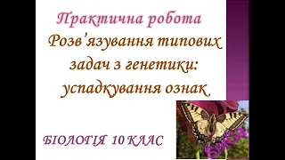 Практична робота: Розв'язування типових задач з генетики успадкування ознак. /Біологія 10 клас/