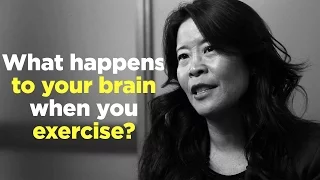 One Question: What happens to your brain when you exercise?
