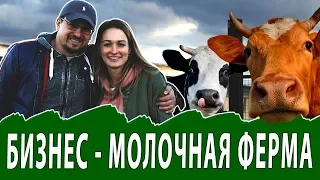 Производство молочной продукции. Молочная ферма