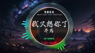 ⚡全网最火最热最新DJ《2024 二月最热dj歌曲排行榜》中文DJ版劲爆舞曲串烧 : 我又想你了 - 牛马/三生三幸 -  海来阿木/不仅仅 是喜欢 - 萧全...💝2024最火最热爆DJ歌曲串烧