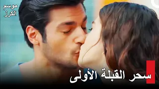 موسم الكرز Kiraz Mevsimi | تقبل أويكو أياز