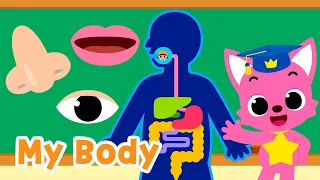 Body Parts Songs for Kids | Five Senses, Brain, and more! | 15-Minute Learning with Baby Shark