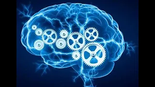 Decoding rubrics റൂബ്രിക്കുകളുടെ അപഗ്രഥനം  മലയാളം ഭാഗം  3