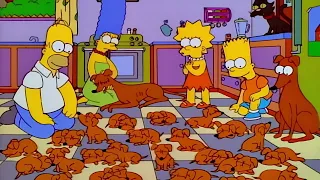 Los cachorros de Ayudante de Santa Los simpson capitulos completos en español latino