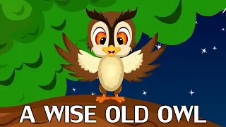 A Wise Old Owl Nursery Rhyme for Children's | Kids Songs