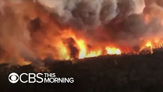 State of emergency declared in Australia as fires rage on