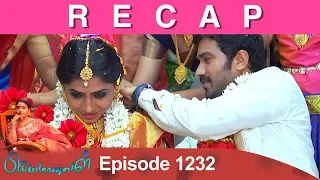 RECAP : Priyamanaval Episode 1232, 02/02/19