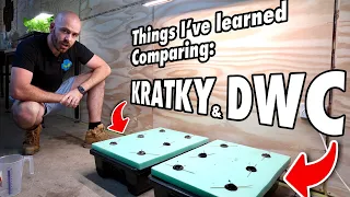 Deep Water Culture vs Kratky... And the Importance of Air Flow in Indoor Systems