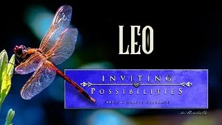 Leo ~ Learning how to BALANCE work & fun