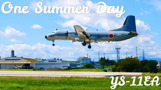 YS-11EA Landing On A Summer Day [JASDF] Iruma Air Base