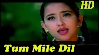 Tum Mile Dil Khile HD with DJ Jhankar   HD   Criminal   Kumar Sanu   Alka Yagnik